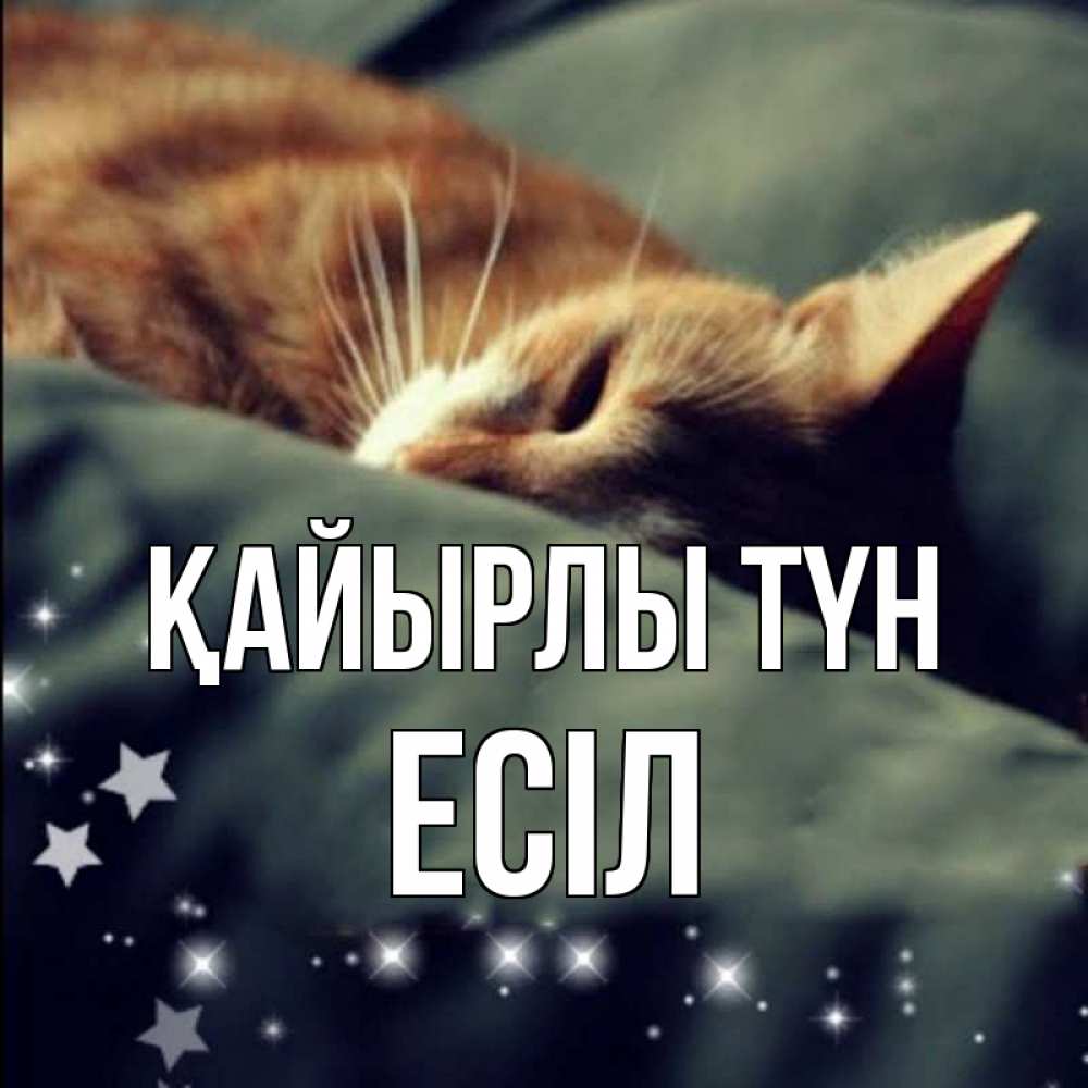 Күн сайын ашық хат с именем, Есіл Қайырлы түн кроватка Онлайн тегін жүктеп алу тілектері бар керемет карта 