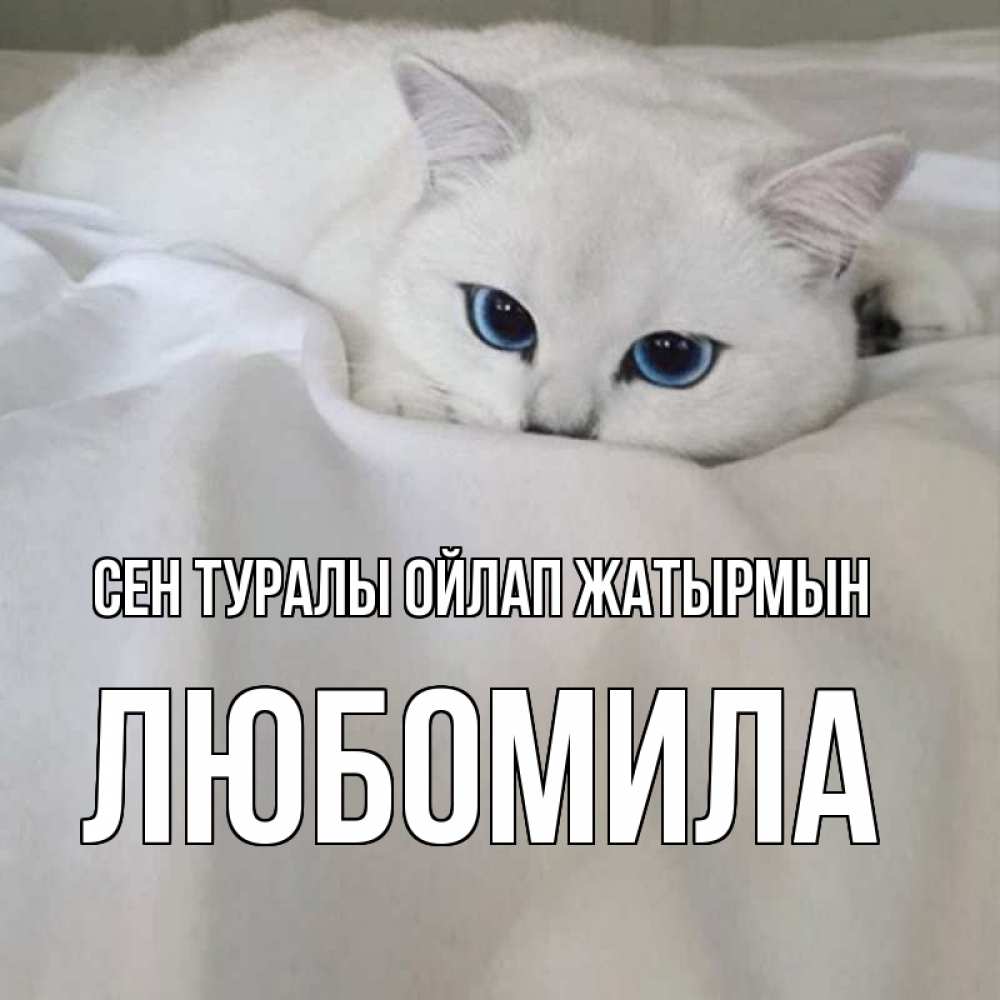 Күн сайын ашық хат с именем, Любомила Сен туралы ойлап жатырмын я очень по тебе скучаю и тоскую Онлайн тегін жүктеп алу тілектері бар керемет карта 