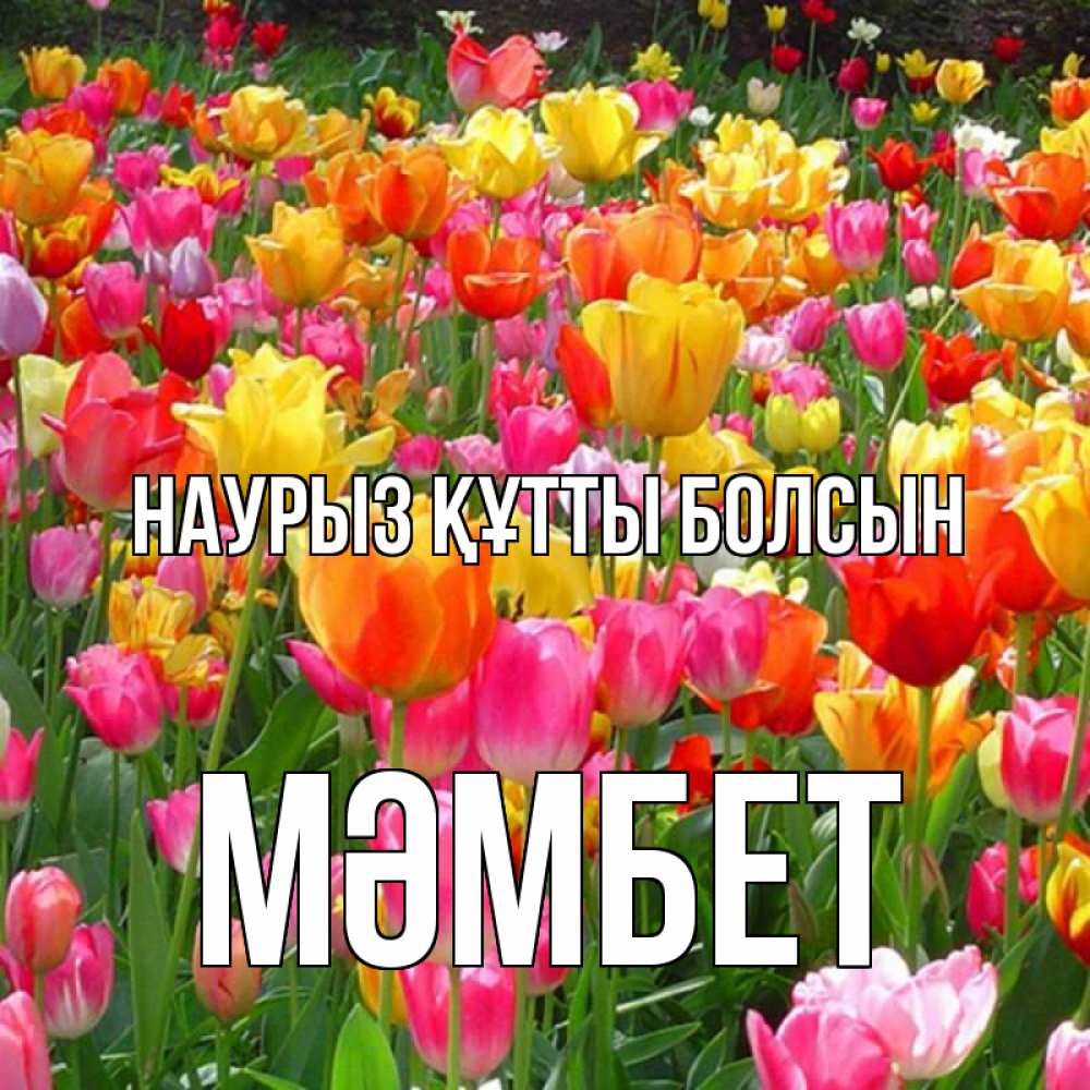 Күн сайын ашық хат с именем, МӘМБЕТ Наурыз құтты болсын на наурыз  ура ура Онлайн тегін жүктеп алу тілектері бар керемет карта 
