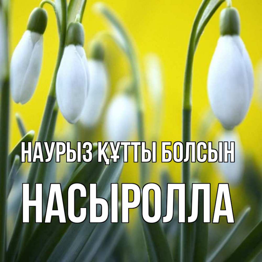 Күн сайын ашық хат с именем, Насыролла Наурыз құтты болсын весенние цветы Онлайн тегін жүктеп алу тілектері бар керемет карта 