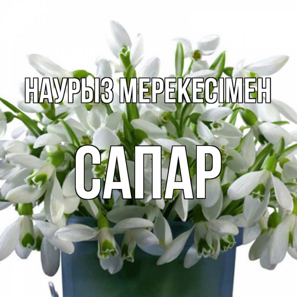 Күн сайын ашық хат с именем, САПАР Наурыз мерекесімен цветы к наурызу новый год в Казахстане Онлайн тегін жүктеп алу тілектері бар керемет карта 