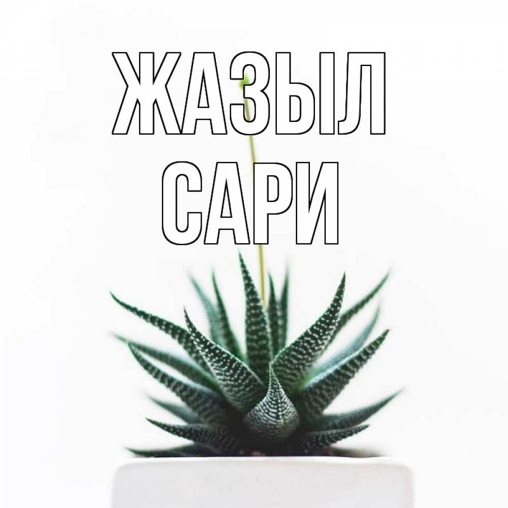Күн сайын ашық хат с именем, САРИ Жазыл короче это непонятная колючка Онлайн тегін жүктеп алу тілектері бар керемет карта 