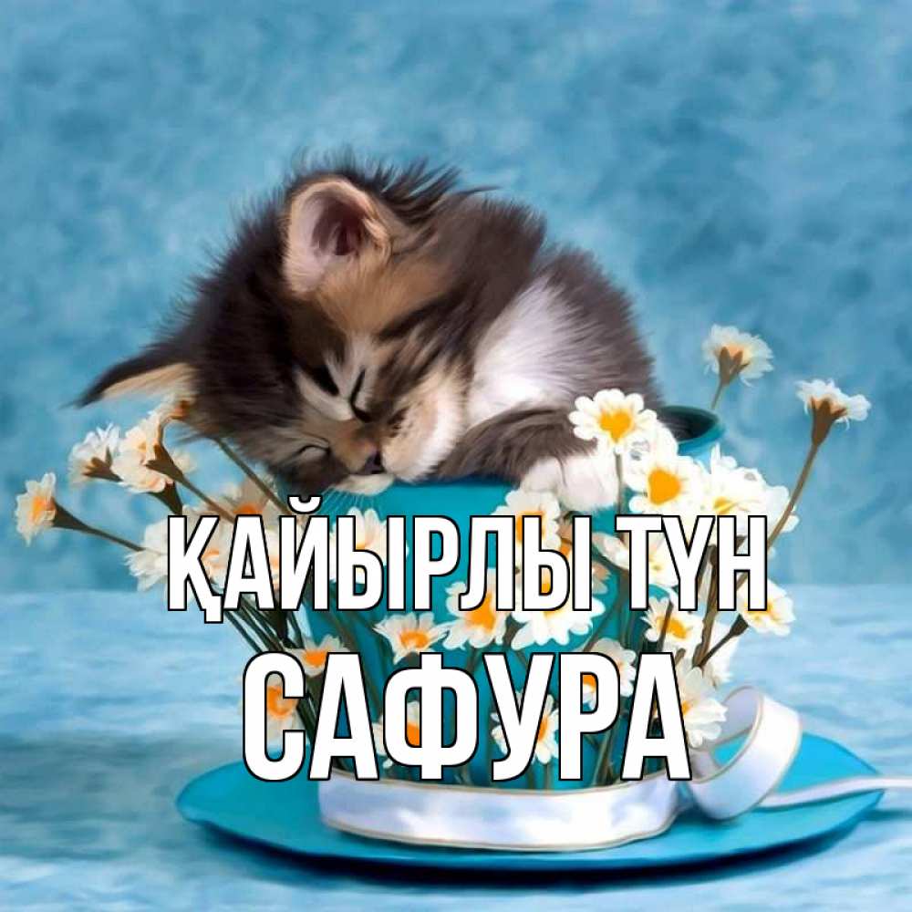Күн сайын ашық хат с именем, САФУРА Қайырлы түн котенок спит в кружке с блюдцем Онлайн тегін жүктеп алу тілектері бар керемет карта 