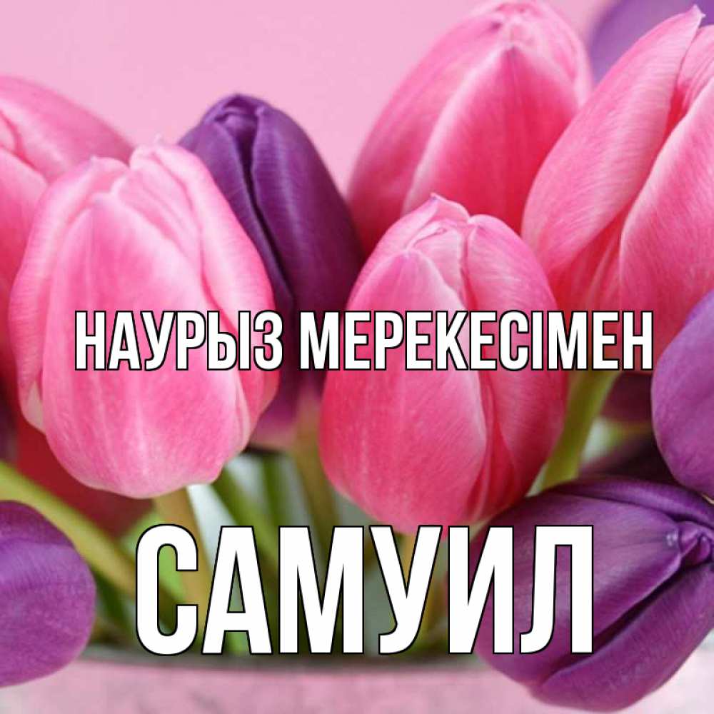 Күн сайын ашық хат с именем, Самуил Наурыз мерекесімен маме 1 Онлайн тегін жүктеп алу тілектері бар керемет карта 
