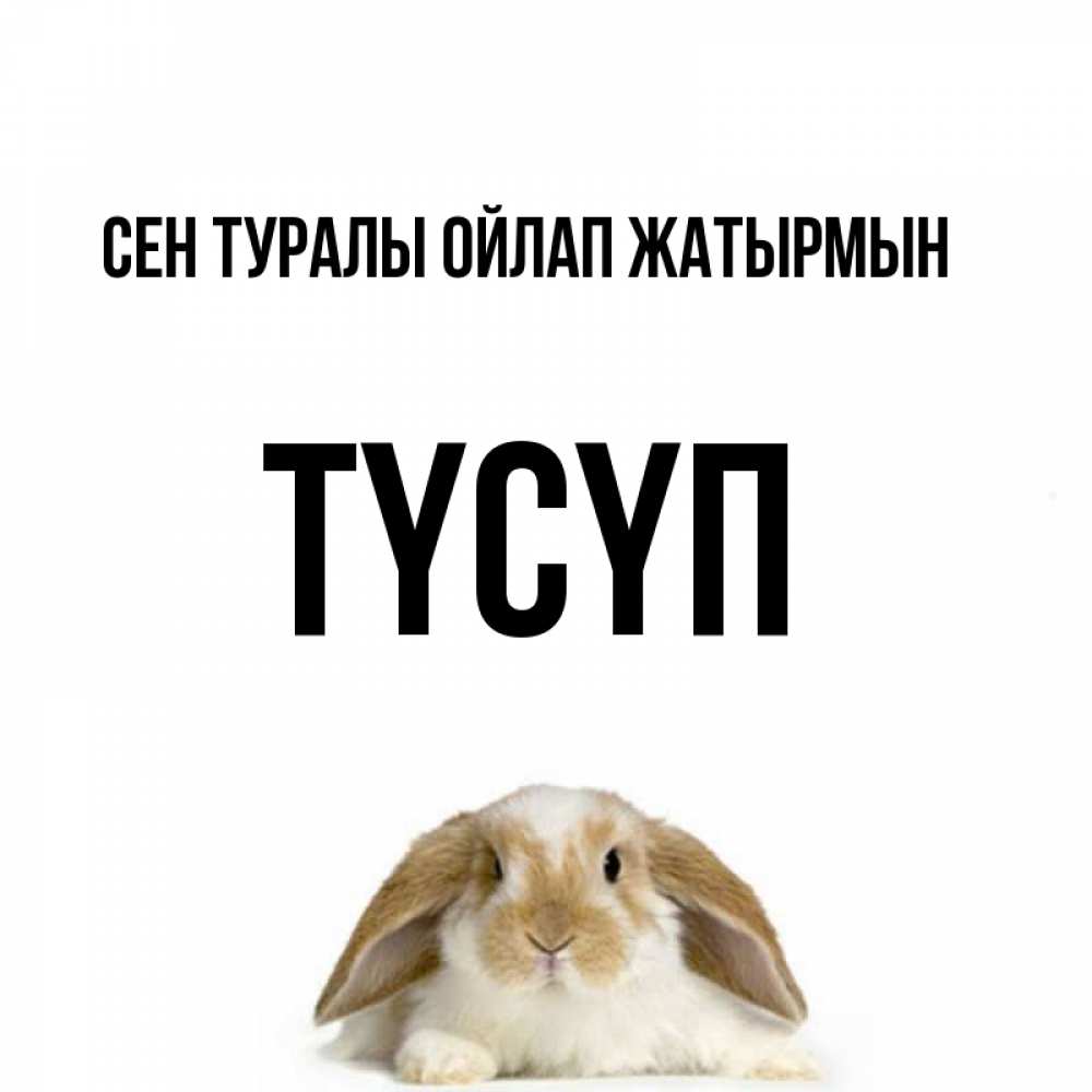 Күн сайын ашық хат с именем, ТҮСҮП Сен туралы ойлап жатырмын подписать своими руками онлайн Онлайн тегін жүктеп алу тілектері бар керемет карта 