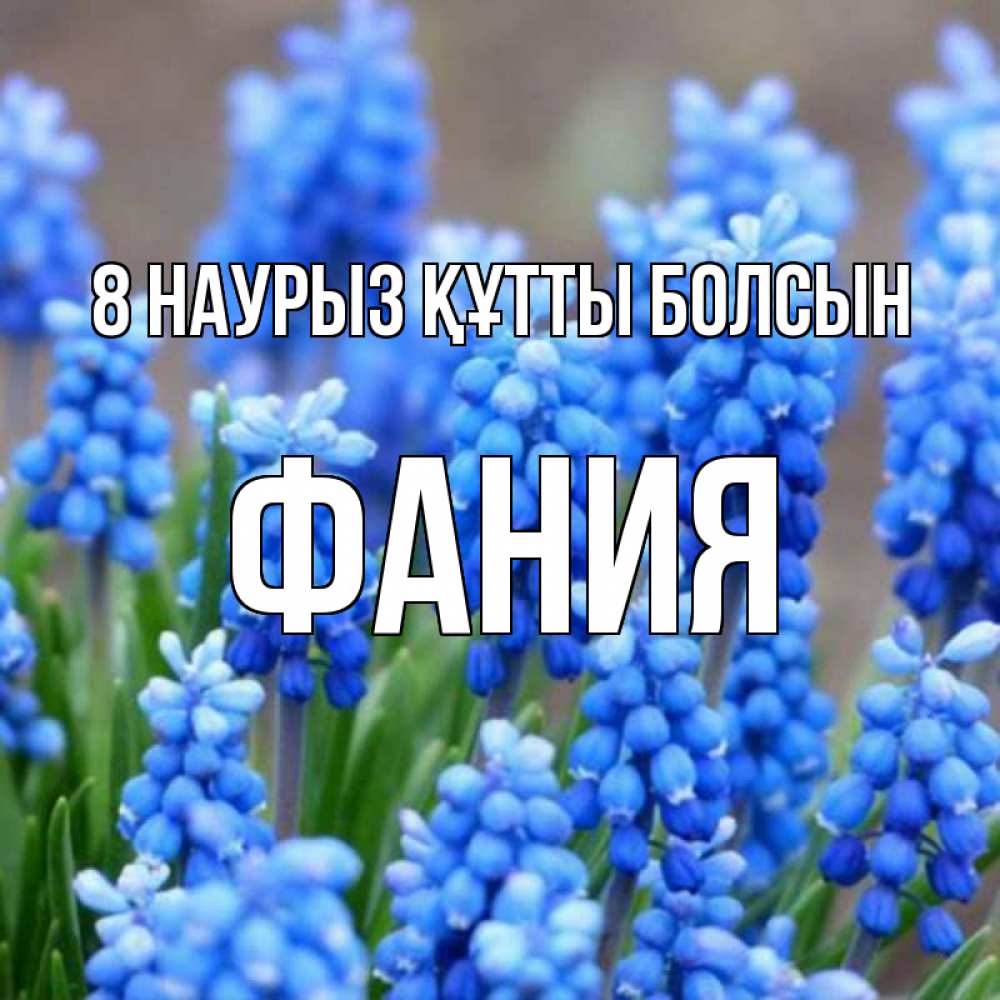 Күн сайын ашық хат с именем, Фания 8 наурыз құтты болсын Поздравительная открытка для женщин с цветами на праздничную дату Онлайн тегін жүктеп алу тілектері бар керемет карта 