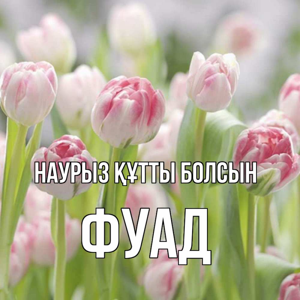 Күн сайын ашық хат с именем, Фуад Наурыз құтты болсын цветы Онлайн тегін жүктеп алу тілектері бар керемет карта 