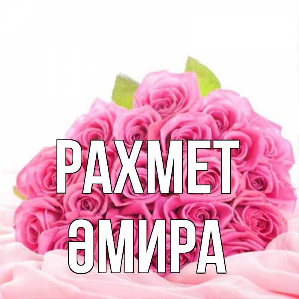 Күн сайын ашық хат с именем, ӘМИРА рахмет розовые розы с подписью Онлайн тегін жүктеп алу тілектері бар керемет карта 