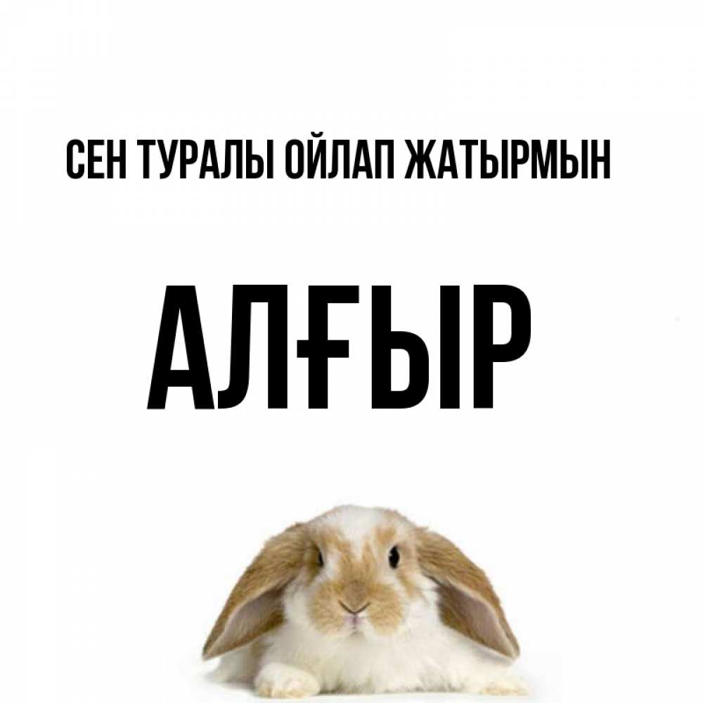 Күн сайын ашық хат с именем, Алғыр Сен туралы ойлап жатырмын подписать своими руками онлайн Онлайн тегін жүктеп алу тілектері бар керемет карта 