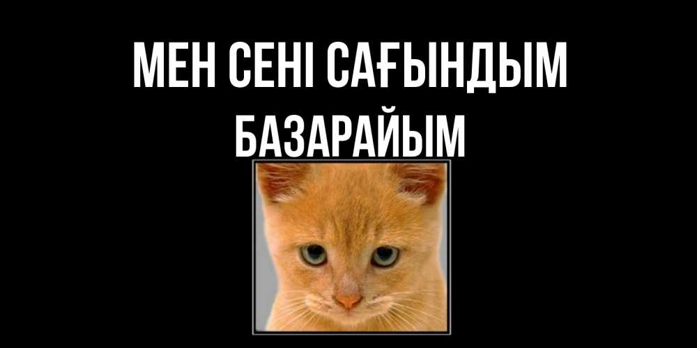 Күн сайын ашық хат с именем, БАЗАРАЙЫМ Мен сені сағындым открытки рыжий котенок скучает по тебе Онлайн тегін жүктеп алу тілектері бар керемет карта 