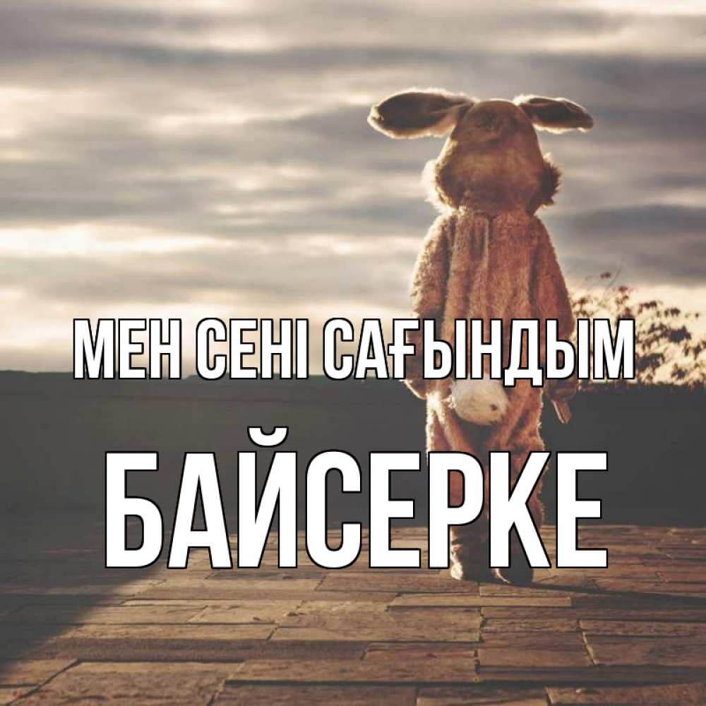 Күн сайын ашық хат с именем, Байсерке Мен сені сағындым даже в костюме зайца Онлайн тегін жүктеп алу тілектері бар керемет карта 