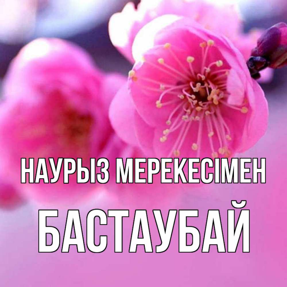 Күн сайын ашық хат с именем, Бастаубай Наурыз мерекесімен международный женский день Онлайн тегін жүктеп алу тілектері бар керемет карта 