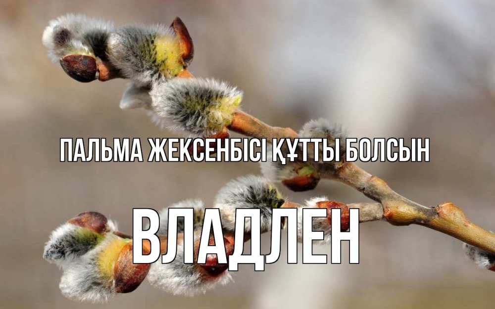 Күн сайын ашық хат с именем, Владлен Пальма жексенбісі құтты болсын Верба Онлайн тегін жүктеп алу тілектері бар керемет карта 