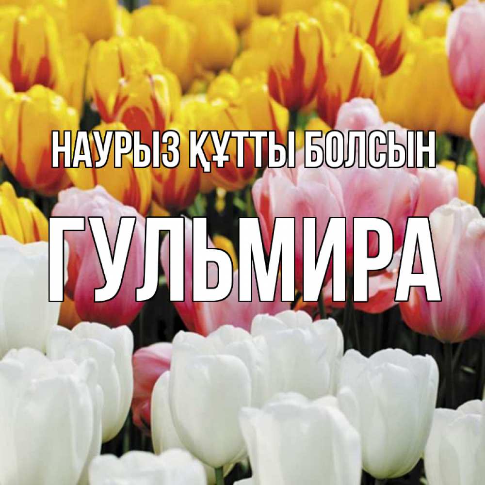 Күн сайын ашық хат с именем, Гульмира Наурыз құтты болсын разноцветные цветы Онлайн тегін жүктеп алу тілектері бар керемет карта 