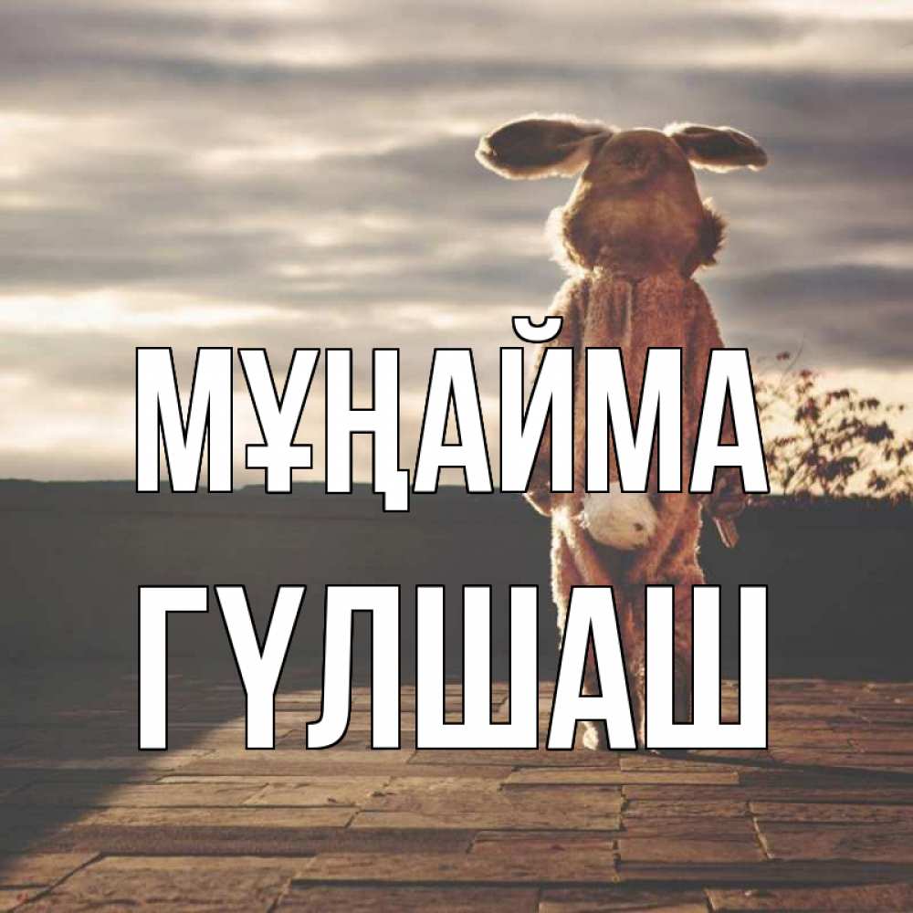 Күн сайын ашық хат с именем, ГҮЛШАШ Мұңайма со спины Онлайн тегін жүктеп алу тілектері бар керемет карта 