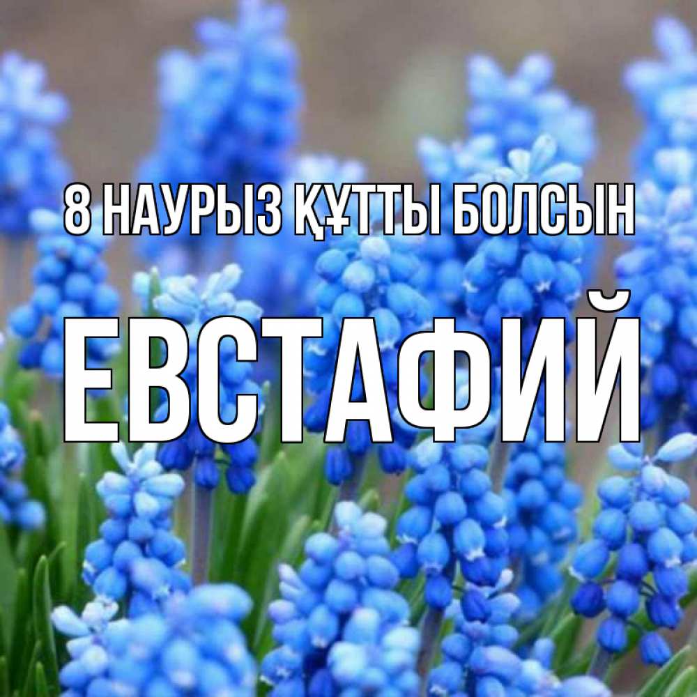 Күн сайын ашық хат с именем, Евстафий 8 наурыз құтты болсын Поздравительная открытка для женщин с цветами на праздничную дату Онлайн тегін жүктеп алу тілектері бар керемет карта 