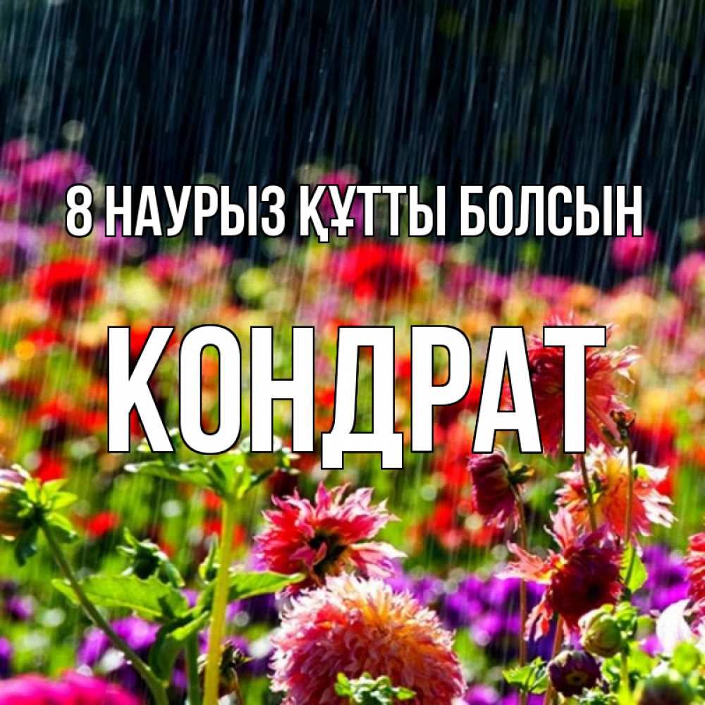 Күн сайын ашық хат с именем, Кондрат 8 наурыз құтты болсын цветы под дождиком к международному женскому дню Онлайн тегін жүктеп алу тілектері бар керемет карта 