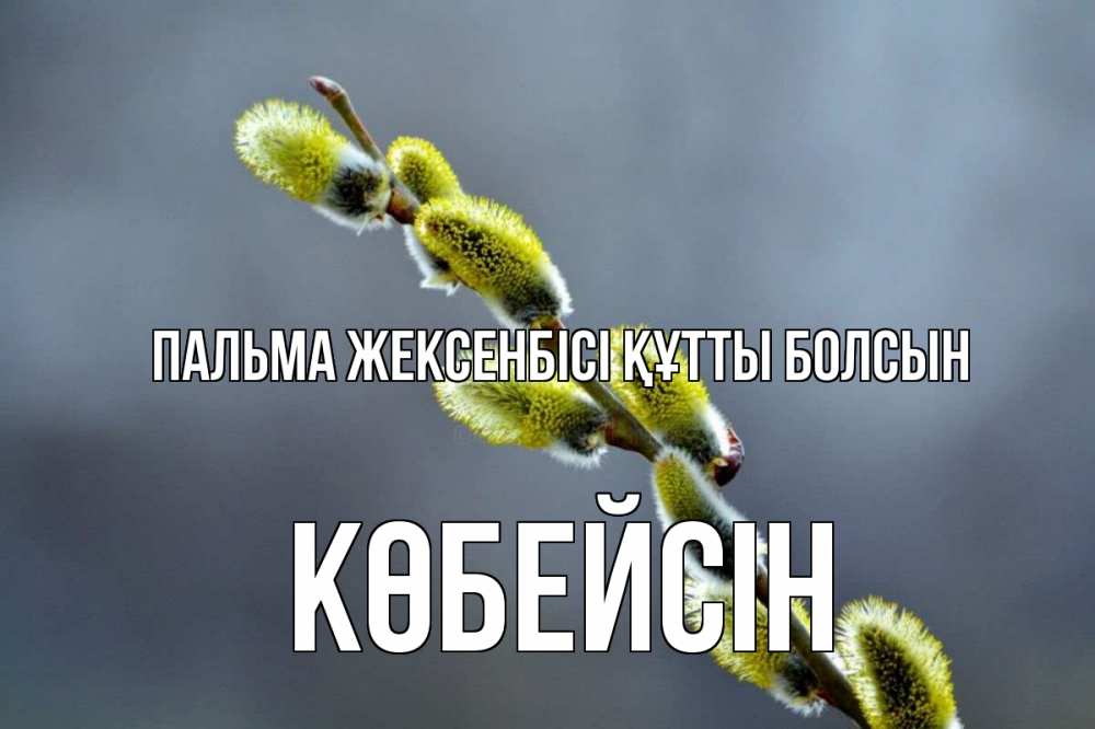 Күн сайын ашық хат с именем, Көбейсін Пальма жексенбісі құтты болсын верба Онлайн тегін жүктеп алу тілектері бар керемет карта 