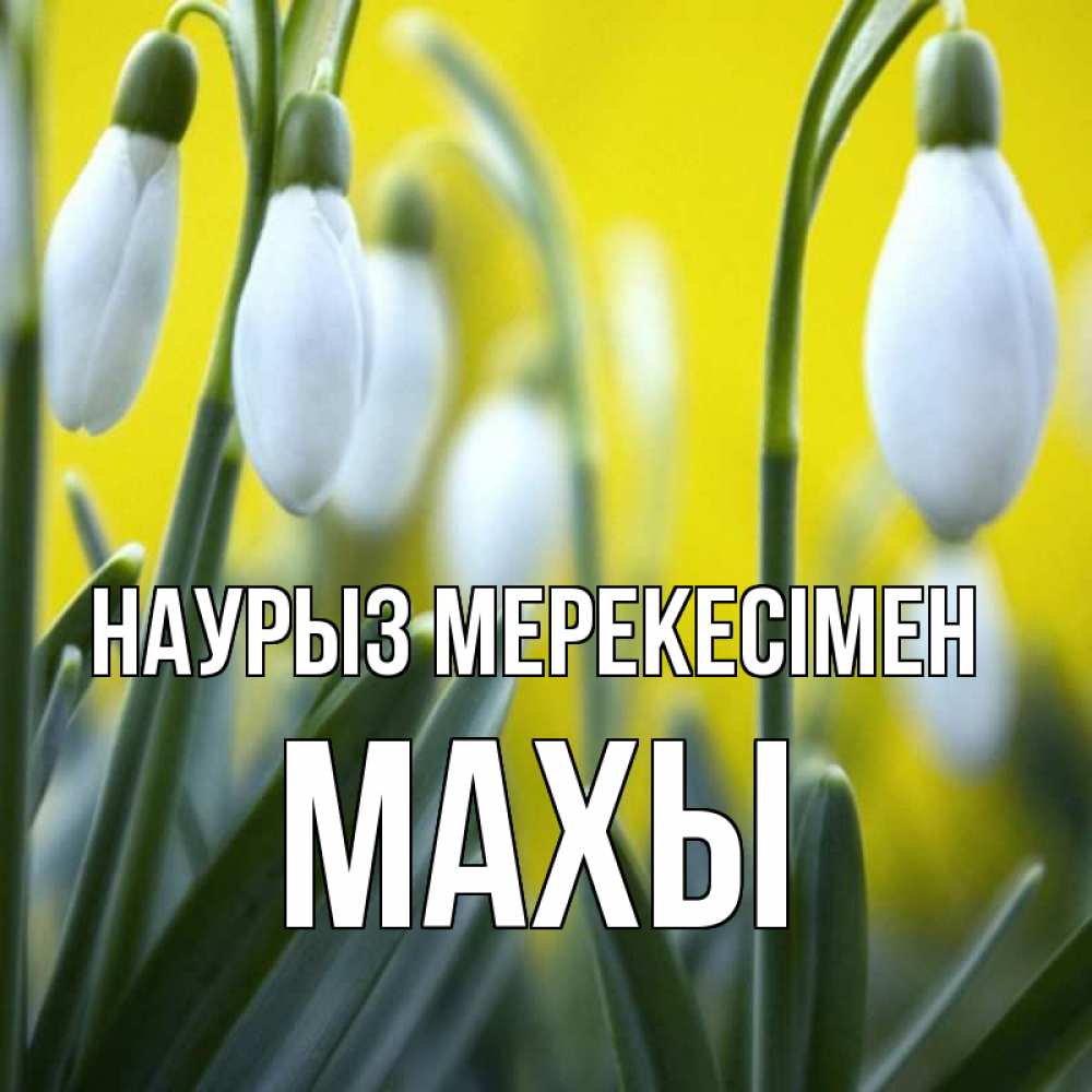 Күн сайын ашық хат с именем, МАХЫ Наурыз мерекесімен весенние цветы Онлайн тегін жүктеп алу тілектері бар керемет карта 
