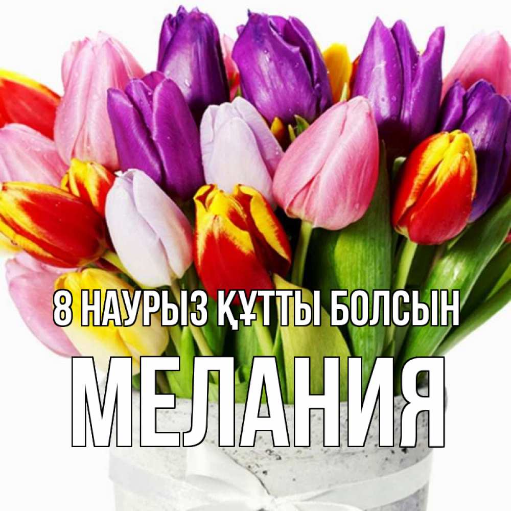 Күн сайын ашық хат с именем, Мелания 8 наурыз құтты болсын букет Онлайн тегін жүктеп алу тілектері бар керемет карта 