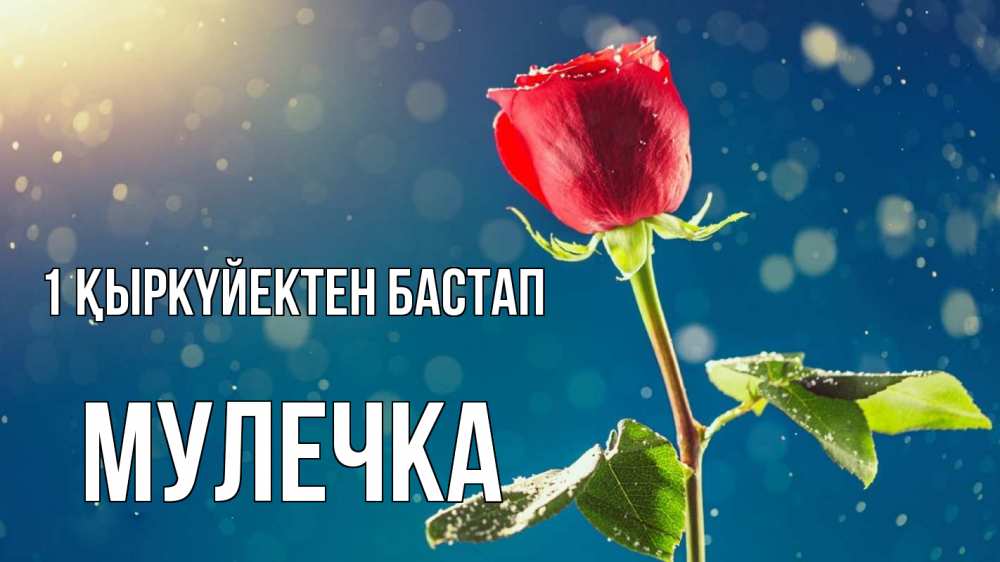 Күн сайын ашық хат с именем, Мулечка 1 қыркүйектен бастап с днем знаний Онлайн тегін жүктеп алу тілектері бар керемет карта 