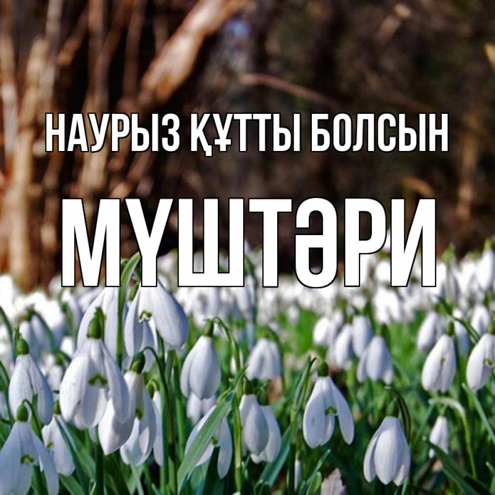 Күн сайын ашық хат с именем, МҮШТӘРИ Наурыз құтты болсын с подснежниками 1 Онлайн тегін жүктеп алу тілектері бар керемет карта 