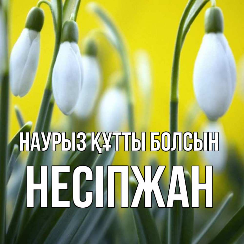 Күн сайын ашық хат с именем, НЕСІПЖАН Наурыз құтты болсын весенние цветы Онлайн тегін жүктеп алу тілектері бар керемет карта 