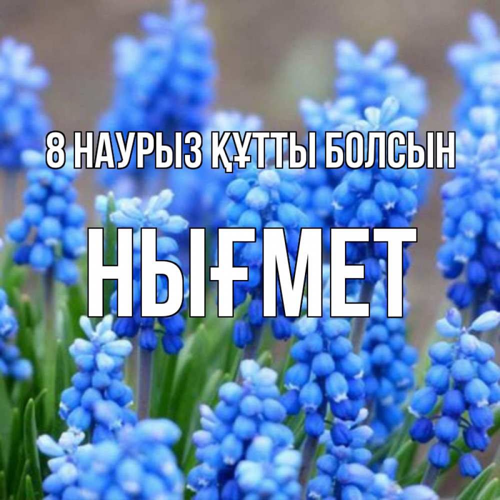 Күн сайын ашық хат с именем, НЫҒМЕТ 8 наурыз құтты болсын Поздравительная открытка для женщин с цветами на праздничную дату Онлайн тегін жүктеп алу тілектері бар керемет карта 