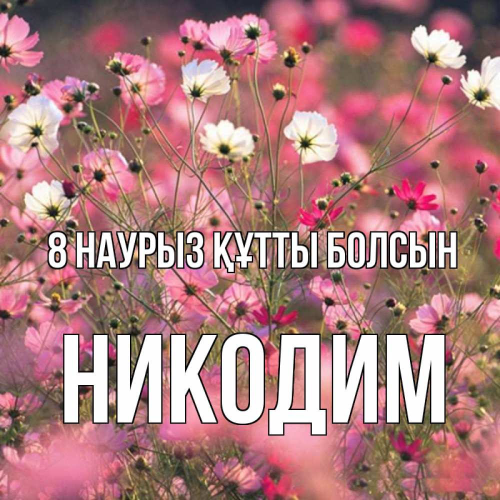 Күн сайын ашық хат с именем, Никодим 8 наурыз құтты болсын красиво 1 Онлайн тегін жүктеп алу тілектері бар керемет карта 