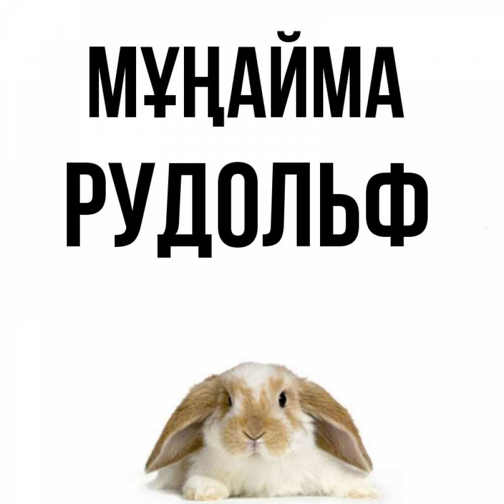 Күн сайын ашық хат с именем, Рудольф Мұңайма коричнево белый заяц с большими ушками Онлайн тегін жүктеп алу тілектері бар керемет карта 