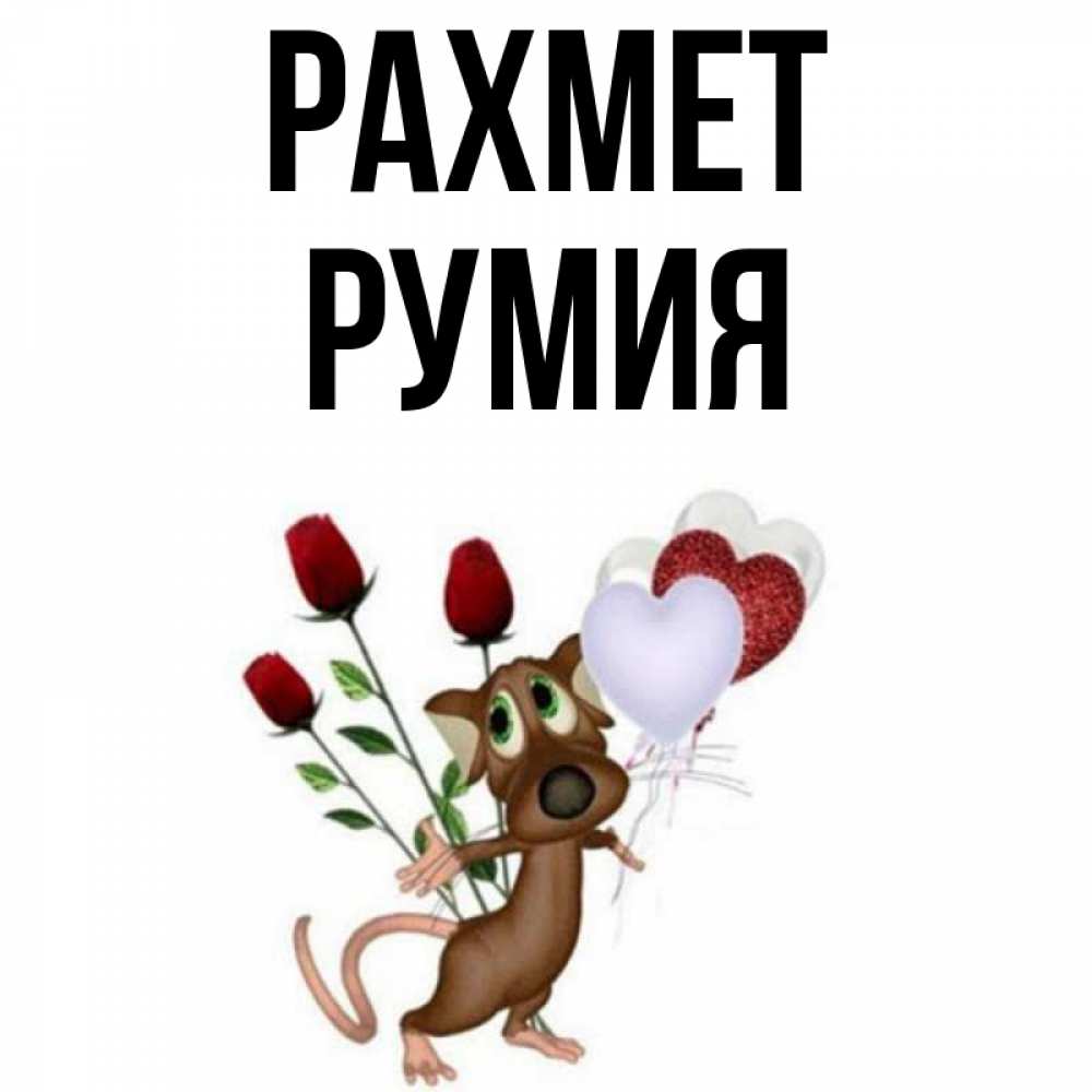 Күн сайын ашық хат с именем, Румия рахмет песик с шариками в форме сердец Онлайн тегін жүктеп алу тілектері бар керемет карта 