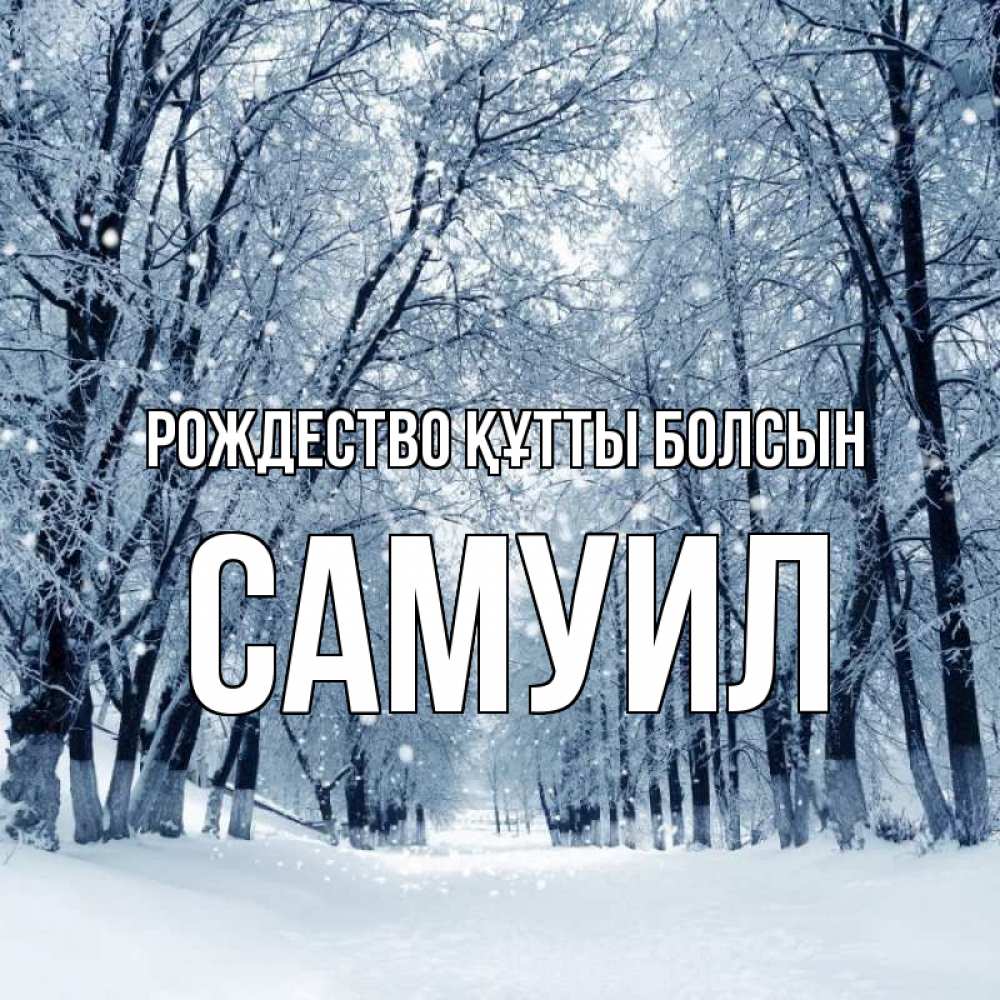 Күн сайын ашық хат с именем, Самуил Рождество құтты болсын снег, лес, парк Онлайн тегін жүктеп алу тілектері бар керемет карта 