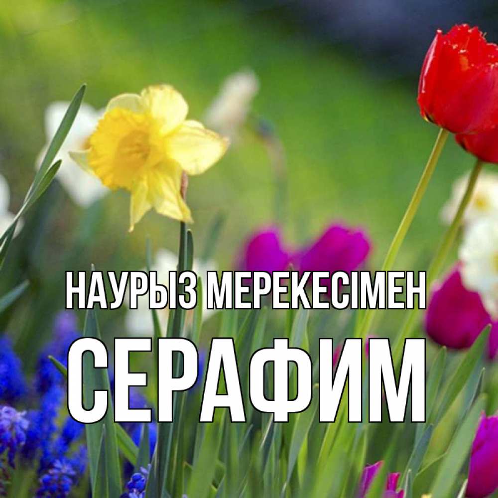 Күн сайын ашық хат с именем, Серафим Наурыз мерекесімен праздник весны наурыз 3 Онлайн тегін жүктеп алу тілектері бар керемет карта 