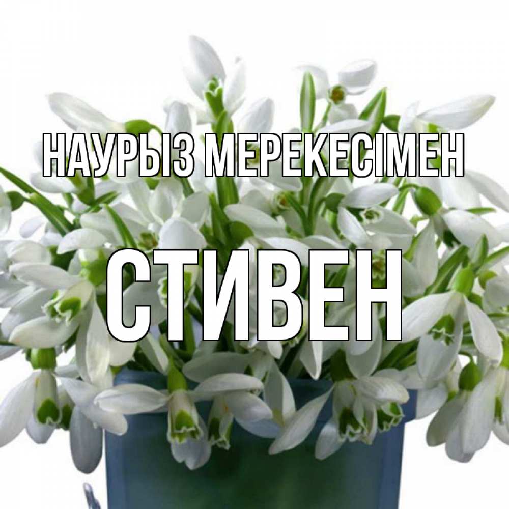 Күн сайын ашық хат с именем, Стивен Наурыз мерекесімен цветы к наурызу новый год в Казахстане Онлайн тегін жүктеп алу тілектері бар керемет карта 
