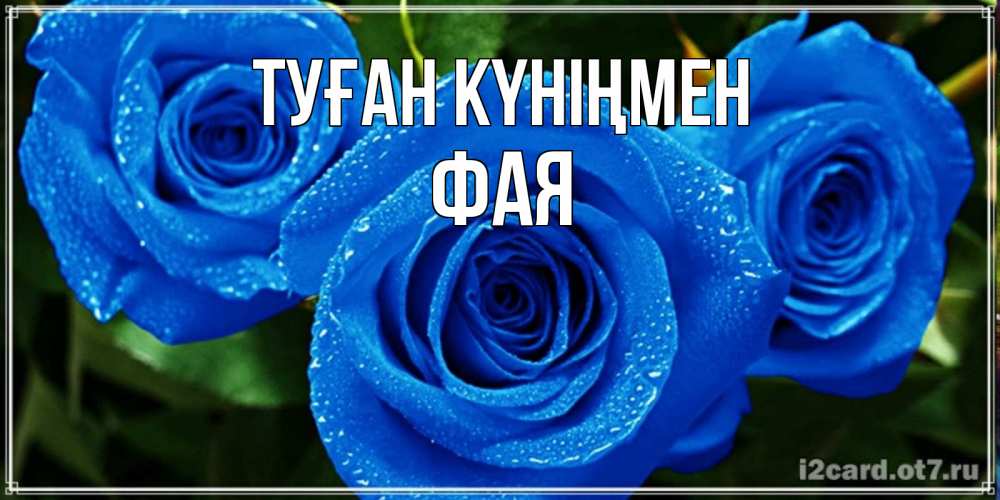 Күн сайын ашық хат с именем, Фая Туған күніңмен розы с синим цветом Онлайн тегін жүктеп алу тілектері бар керемет карта 