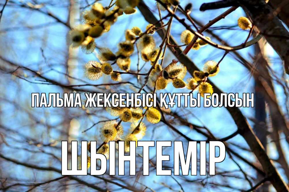Күн сайын ашық хат с именем, ШЫНТЕМІР Пальма жексенбісі құтты болсын верба Онлайн тегін жүктеп алу тілектері бар керемет карта 
