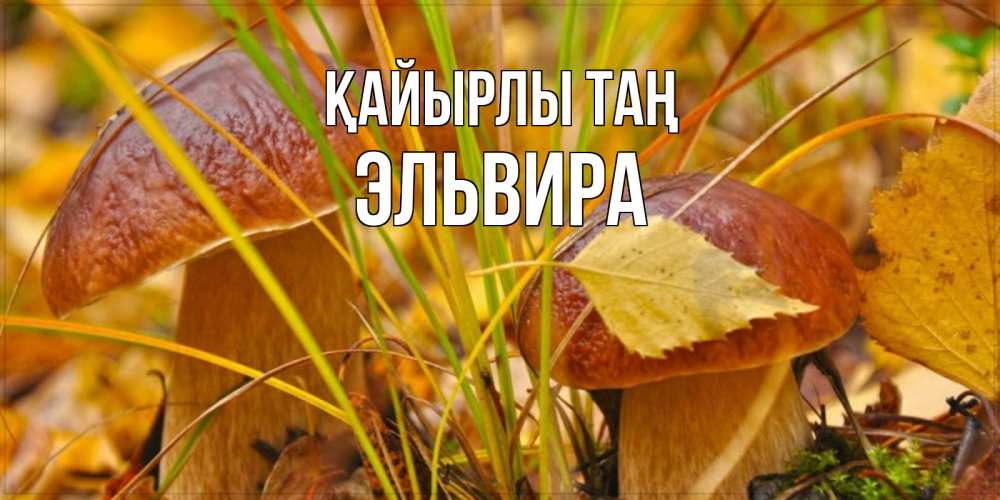 Күн сайын ашық хат с именем, Эльвира Қайырлы таң осенние грибы Онлайн тегін жүктеп алу тілектері бар керемет карта 