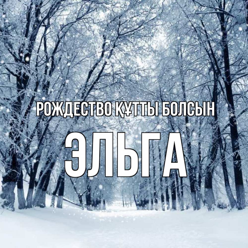 Күн сайын ашық хат с именем, Эльга Рождество құтты болсын снег, лес, парк Онлайн тегін жүктеп алу тілектері бар керемет карта 