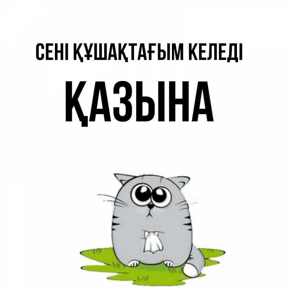 Күн сайын ашық хат с именем, ҚАЗЫНА сені құшақтағым келеді котик теребит платочек сидя на травке Онлайн тегін жүктеп алу тілектері бар керемет карта 