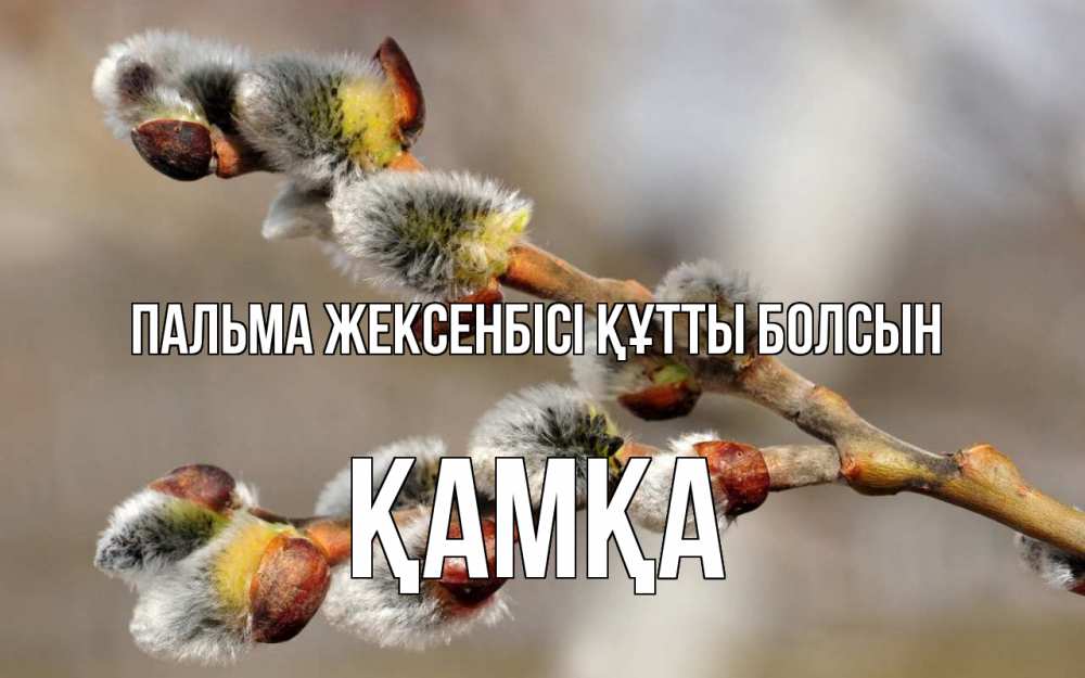 Күн сайын ашық хат с именем, ҚАМҚА Пальма жексенбісі құтты болсын Верба Онлайн тегін жүктеп алу тілектері бар керемет карта 