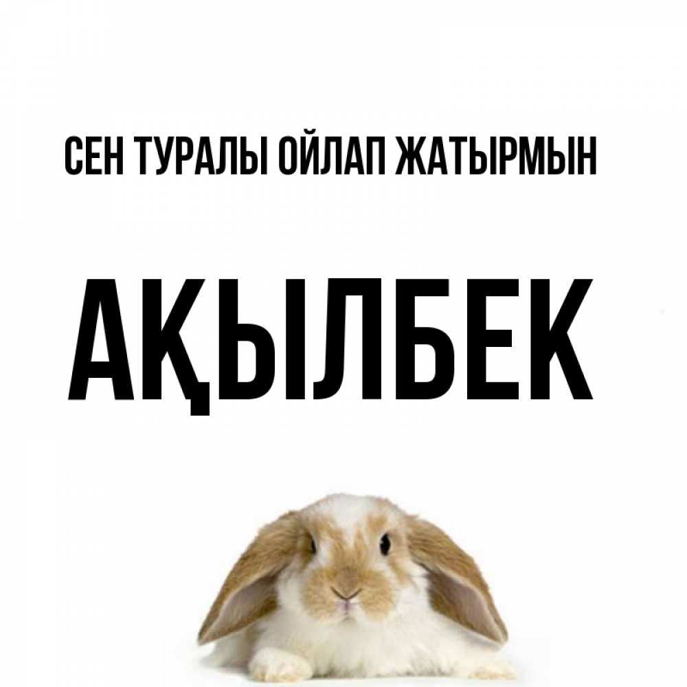 Күн сайын ашық хат с именем, Ақылбек Сен туралы ойлап жатырмын подписать своими руками онлайн Онлайн тегін жүктеп алу тілектері бар керемет карта 