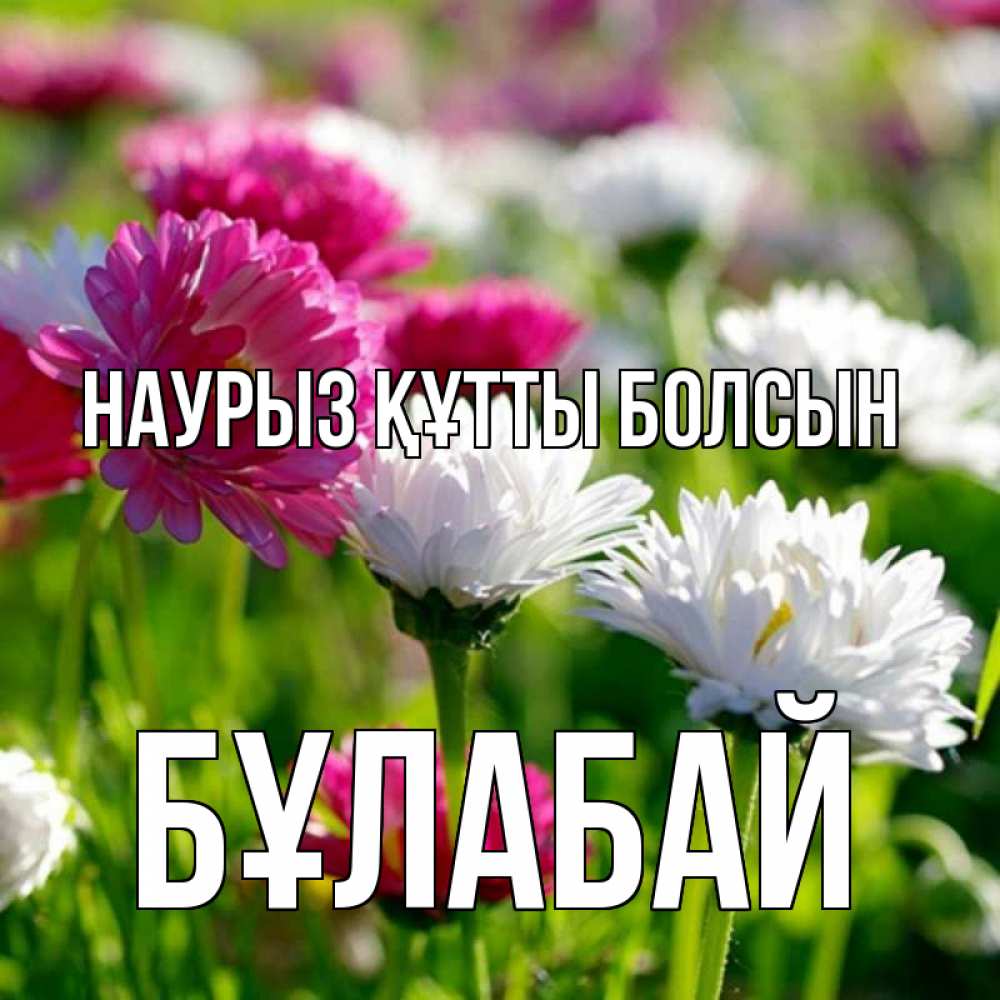 Күн сайын ашық хат с именем, Бұлабай Наурыз құтты болсын наурыз Онлайн тегін жүктеп алу тілектері бар керемет карта 