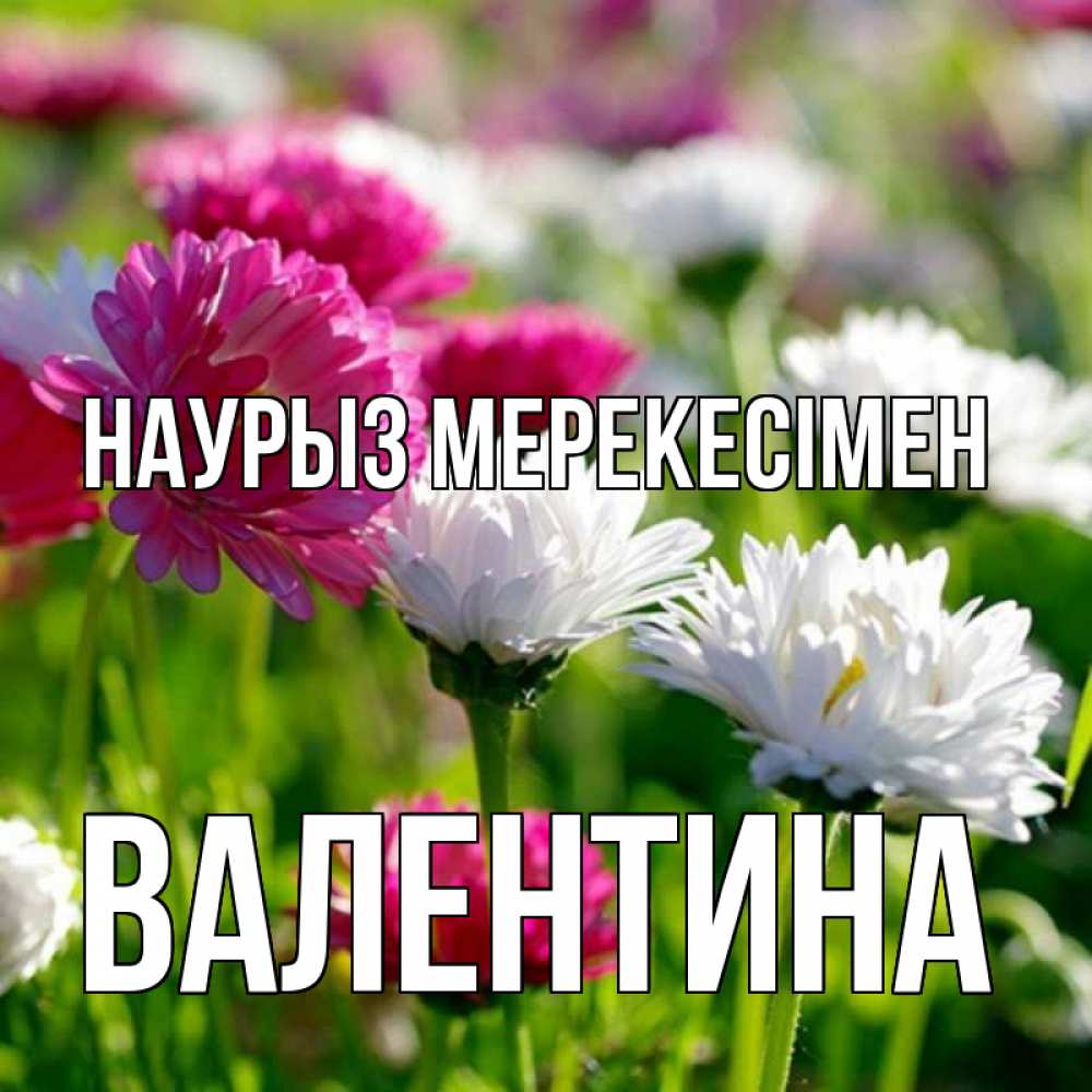 Күн сайын ашық хат с именем, Валентина Наурыз мерекесімен праздник весны наурыз красота Онлайн тегін жүктеп алу тілектері бар керемет карта 