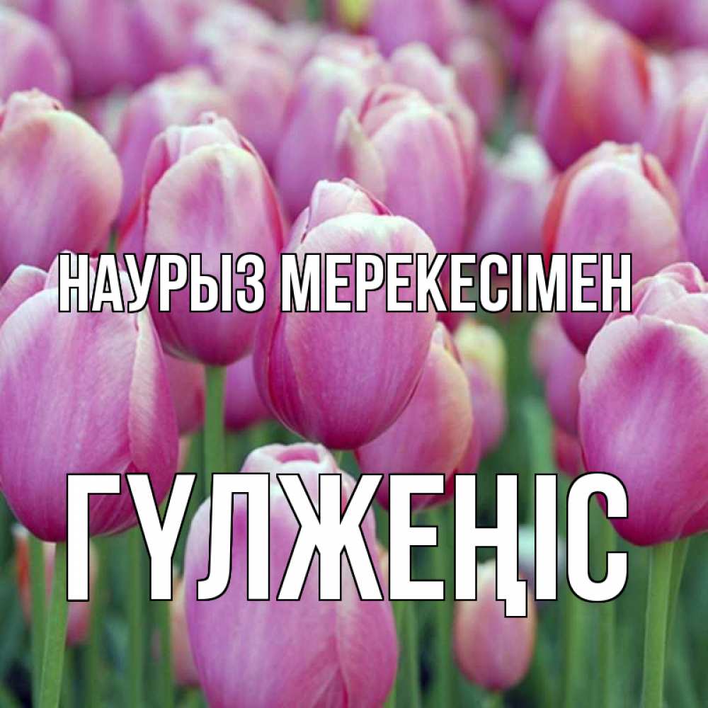 Күн сайын ашық хат с именем, ГҮЛЖЕҢІС Наурыз мерекесімен праздник весны наурыз 69 Онлайн тегін жүктеп алу тілектері бар керемет карта 