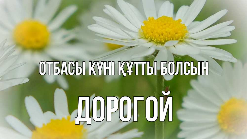 Күн сайын ашық хат с именем, Дорогой отбасы күні құтты болсын с днем семьи  1 Онлайн тегін жүктеп алу тілектері бар керемет карта 