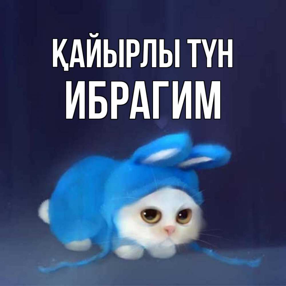 Күн сайын ашық хат с именем, Ибрагим Қайырлы түн кот в голубом костюме кролика с ушками Онлайн тегін жүктеп алу тілектері бар керемет карта 