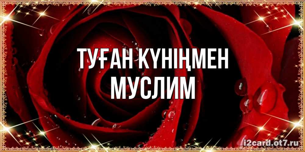 Күн сайын ашық хат с именем, Муслим Туған күніңмен цветок в росе на день рождения Онлайн тегін жүктеп алу тілектері бар керемет карта 