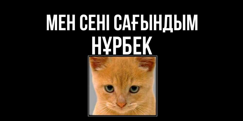 Күн сайын ашық хат с именем, НҰРБЕК Мен сені сағындым открытки рыжий котенок скучает по тебе Онлайн тегін жүктеп алу тілектері бар керемет карта 