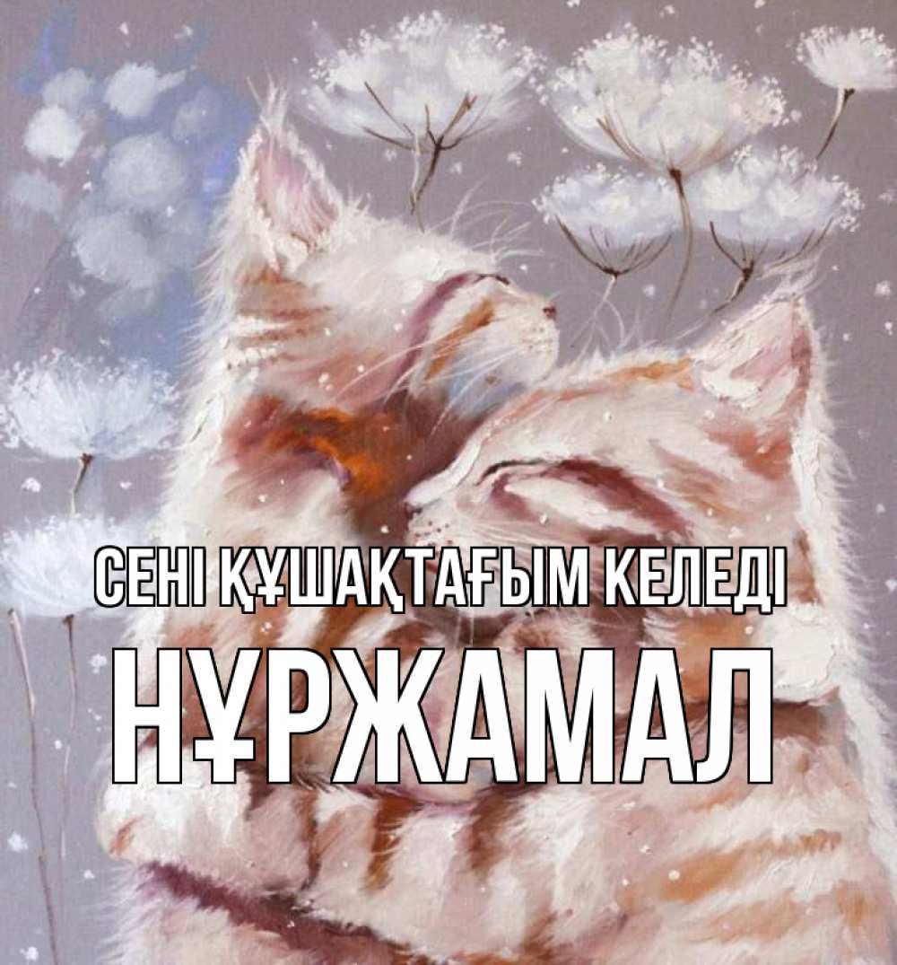 Күн сайын ашық хат с именем, НҰРЖАМАЛ сені құшақтағым келеді Море и горы Онлайн тегін жүктеп алу тілектері бар керемет карта 