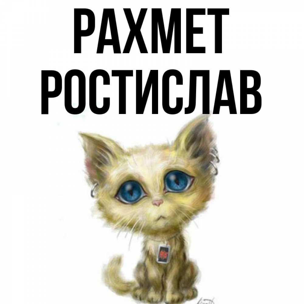 Күн сайын ашық хат с именем, Ростислав рахмет рисованный кот благодарит вас Онлайн тегін жүктеп алу тілектері бар керемет карта 